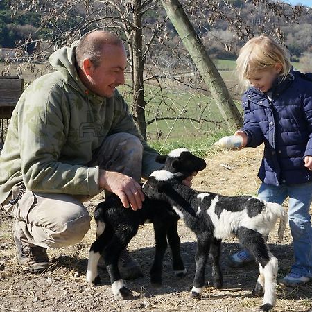 Domaine Du Bas Chalus Villa Forcalquier Eksteriør billede